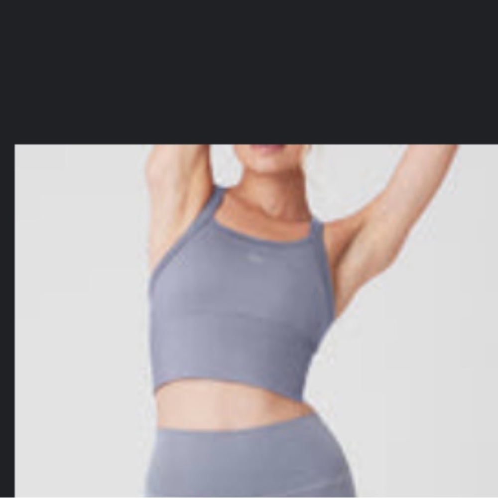 ALO Yoga Seamless Ribbed Favorite Bra Tank - color FOG size XS
